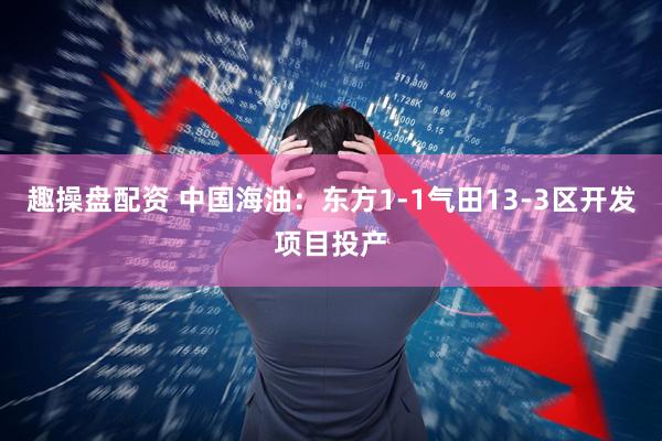 趣操盘配资 中国海油：东方1-1气田13-3区开发项目投产