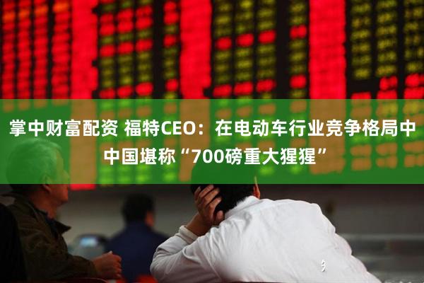 掌中财富配资 福特CEO：在电动车行业竞争格局中 中国堪称“700磅重大猩猩”